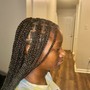 Small Box Braids