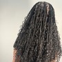 Natural Twists