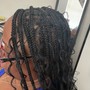 Extended braids on knotless or twist