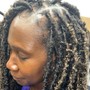 Starter Locs