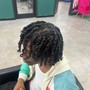 Loc Coils starter locs