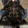 Large Faux Locs