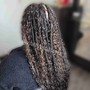 Small Knotless Senegalese Twist