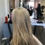 Root Touch Up