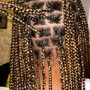 Individual Braids