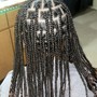 Fulani Braids/sew-in