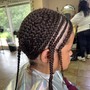 Two Strand Twists