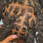 Comb Twist/Starter Locs