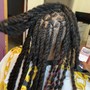 Kids loc’s Retwist & Style(regular-medium size) (12 & under)