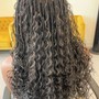 Individual Braids