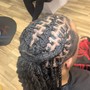 Loc Detox w/ Retwist