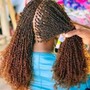 Box Braids