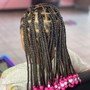 Kid's Braids ( with Hair added)