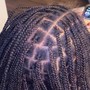 Poetic Justice Braids