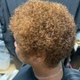 Root Touch Up