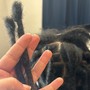 Loc ReTwist + Style