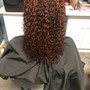 Root Touch Up