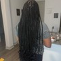 Starter Locs