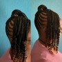 Braided Ponytail (Small)