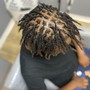 Starter Locs