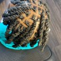 Butterfly locs/ medium