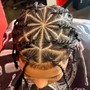 Bantu Knots/shampoo