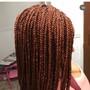 Natural Twists