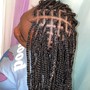 Box Braids touch up ( edges) 2row)