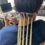 Straight back stitch Braids