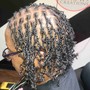 Starter Locs-Full Head