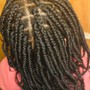 Medium Senegalese Twist