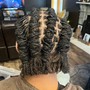 Starter Locs