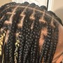 Feed in (2-6) Braids