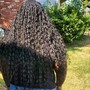 Loc Detox and Retwist