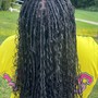 Kinky Twist