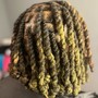 Loc Retwist and Style (ear length)