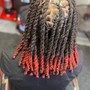 Starter Locs