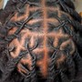 Two strand twist for locs