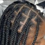 Starter Locs