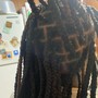 Starter Dreadlocks