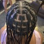 Starter Locs