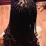 Jumbo Knotless Braids