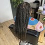 Small Senegalese Twist