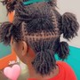 Box Braids