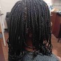 Poetic Justice Braids