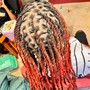 Adult Locs Retwist & Two Strands Twist