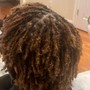 Loc retwist and style