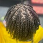 Mini Twists