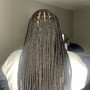 Feed in braids