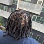 Natural Retwist - Traditional Locs